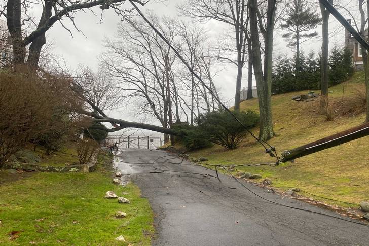 A downed tree and power line in Port Chester, NY on December 25th, 2020.
